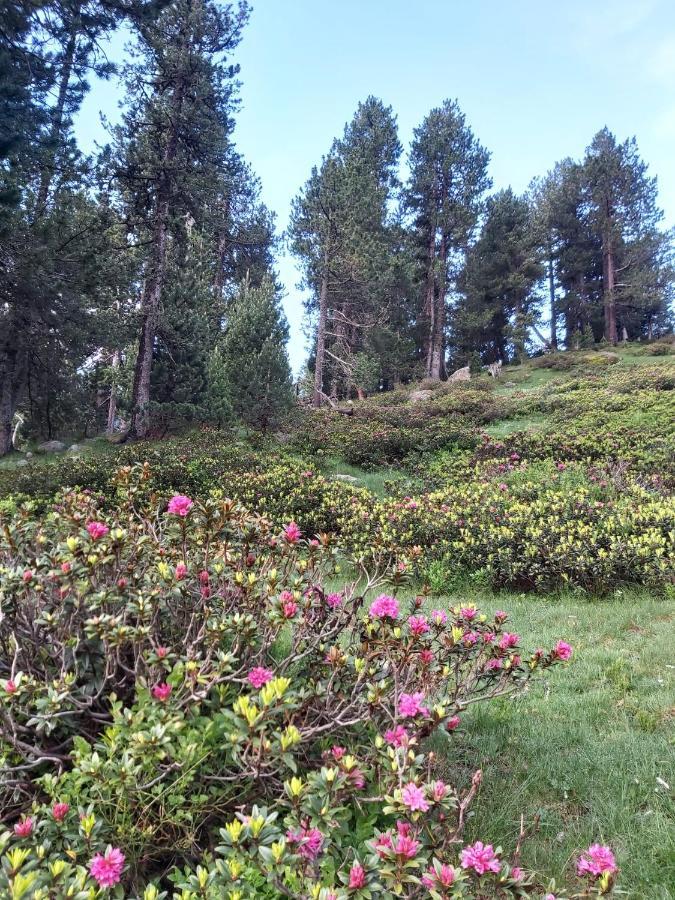 Casa Marcos Διαμέρισμα Benasque Εξωτερικό φωτογραφία